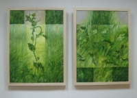 Wyst_Boguszewscy_Tymochowicz09 6