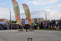 Strongman 23