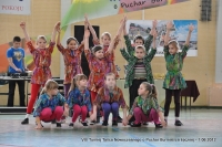 VIII_Turniej_Tanca12 37