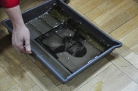 Wystawa i pokaz techniki mokrego kolodionu