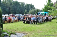 Dożynki Łęczyńskie 2014