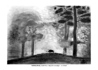 2017
