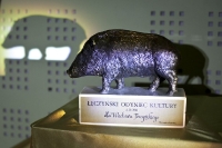 Łęczyński Odyniec Kultury AD 2016