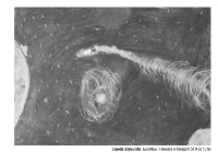 XI Ogólnopolskim Konkursie Rysunku Węglem pn.:”Kosmos”