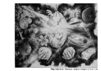 XI Ogólnopolskim Konkursie Rysunku Węglem pn.:”Kosmos”