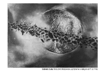 XI Ogólnopolskim Konkursie Rysunku Węglem pn.:”Kosmos”