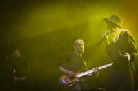 Koncert Patrycji Markowskiej