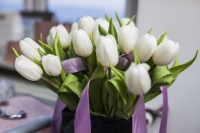 Kobiecy wieczór z okazji Dnia Kobiet