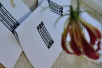 Renata Julia Ireneusz