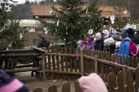 m_p-IMG_3561