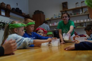 WAKACJE W MIEŚCIE- wycieczka Kraina Rumianku