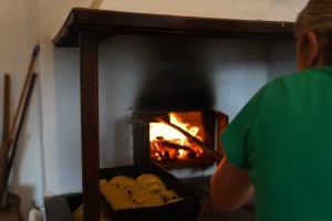 WAKACJE W MIEŚCIE- wycieczka Kraina Rumianku