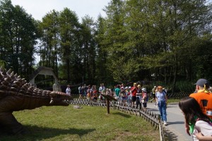 WAKACJE W MIEŚCIE-  BAŁTÓW