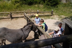WAKACJE W MIEŚCIE-  BAŁTÓW