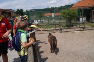 WAKACJE W MIEŚCIE-  BAŁTÓW