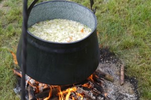PIKNIK HISTORYCZNY- Niedziela u Blocha