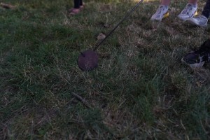 PIKNIK HISTORYCZNY- Niedziela u Blocha