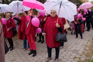 Marsz Różowej Wstążki